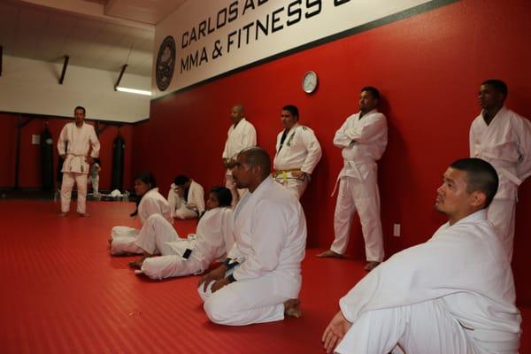 Beginners Adults Brazilian Jiu Jitsu.