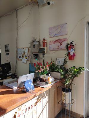 Counter area! There is a small pretty mini garden for the best impression for customers.