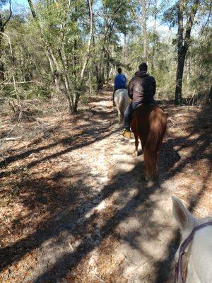 One of the trails in the Apalachicola Forrest