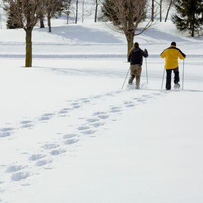 Snowshoeing at Byrncliff. on the golf course and into the forest.