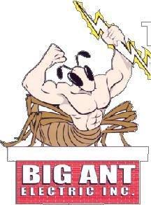 Big Ant Electric,