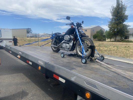 Another shot of the sportster