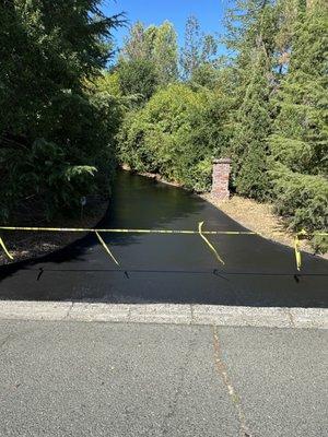 Here is a driveway we paved a couple years ago. The client had us back to apply a seal coat recently to protect her investment!