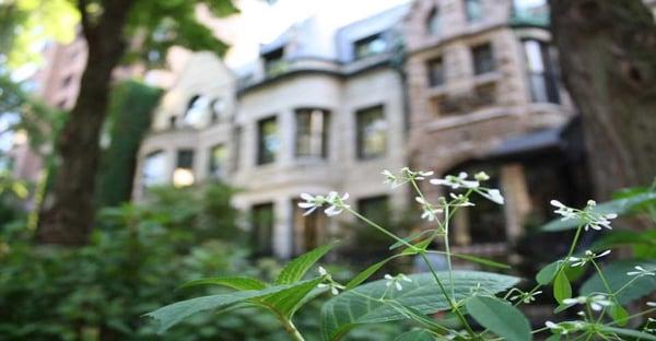 Loving all the homes we looked at with Dan! He took us everywhere from Lincoln Park to Lincoln Square and Lakeview to West Loop!