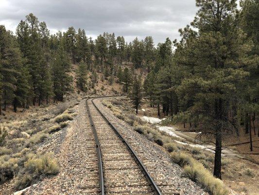 Kaibab National Forest