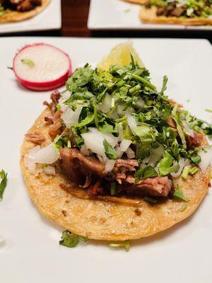 Single taco carnitas