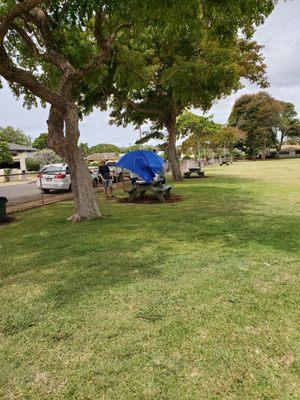 There are picnic tables scattered around the Kahala Community Park.