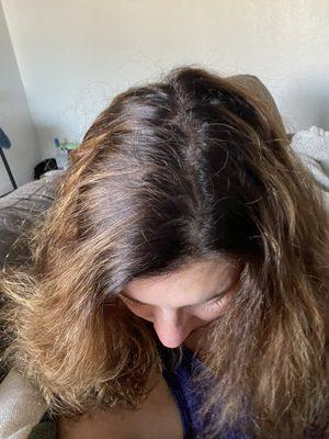 Awful attempt for root touch up and balayage