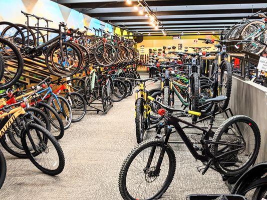 Full suspension mountain bikes, hardtails, gravel bikes & even mountain e-bikes!