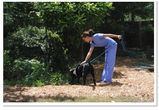 Kaitlyn walking Cabela