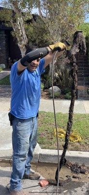 Sammy pulling out massive roots from an area drain. It took four hours to get all the roots out and everything draining again.