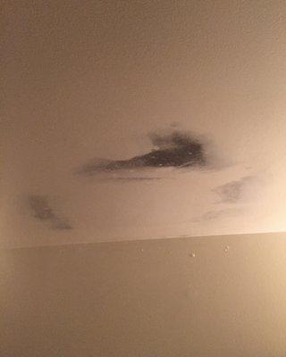 Mold on ceiling in living space, took 2+ months and town of Blacksburg intervention to clear up and was still forced to live in this unit