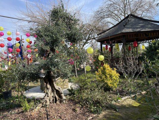 Kim Quang Temple