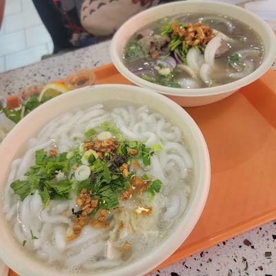 Chicken noodle soup & pho