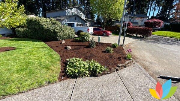 freshly renovated front lawn showcasing fresh brown mulch, new small plants, and a green lawn.