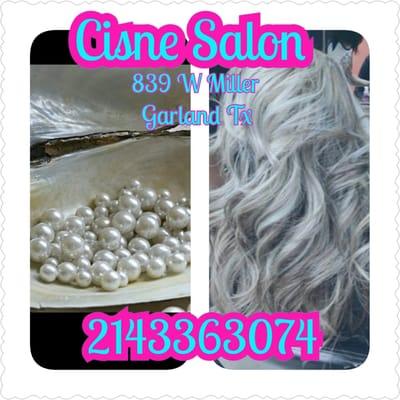 Cisne Salon