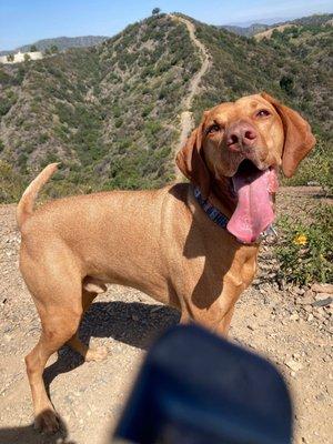 Jasper at Mountaingate