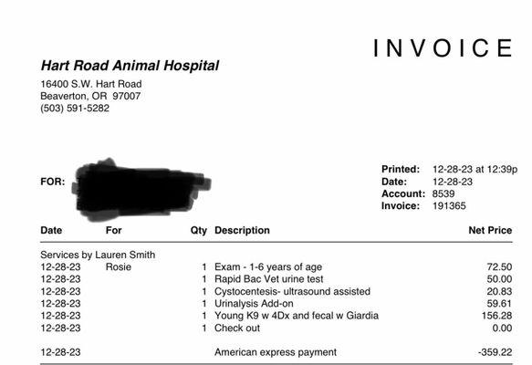 Invoice for blood in urine visit