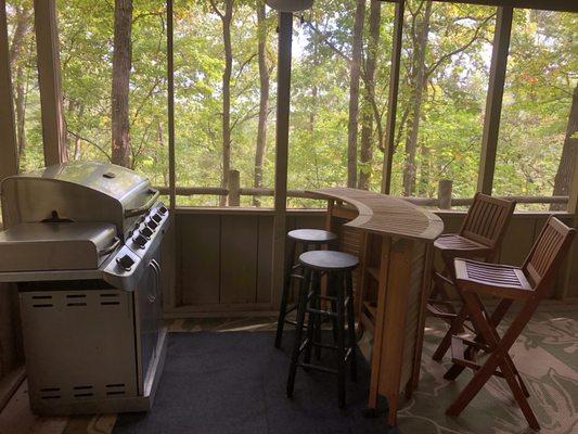 Lower common area screened in porch