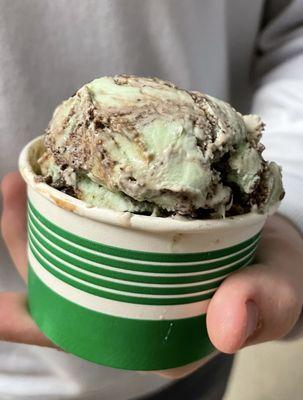 Single scoop Munnsters Mint Fudge