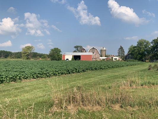 Beautiful day at Blue Clay Berry Farm