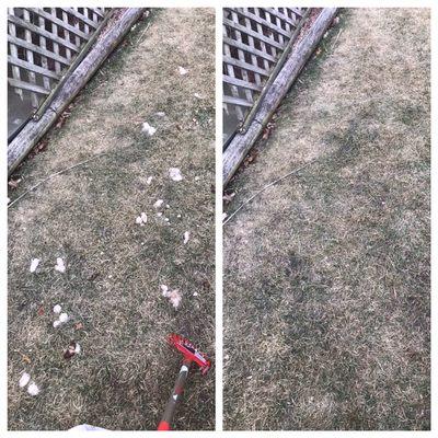 Before and after photo of one of our cleanups.