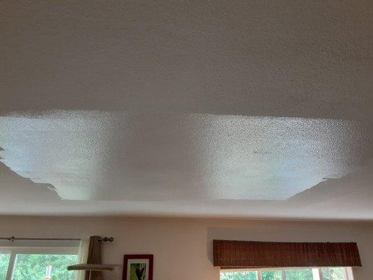 Ceiling repairs after water leak