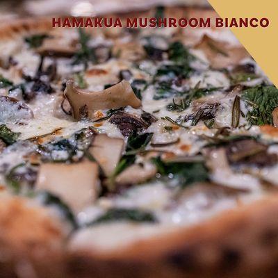 Hamakua Mushroom Bianco