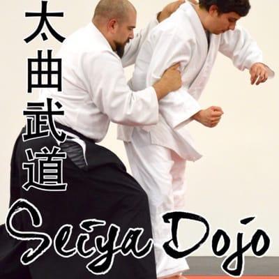 Jujutsu, Aikido, Kempo