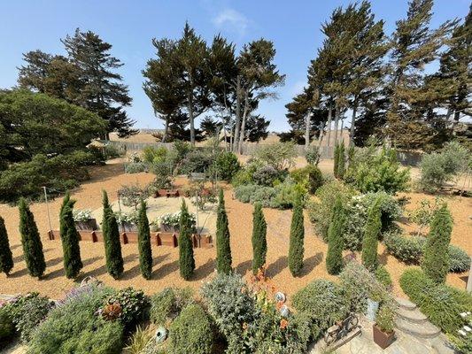 Freshly mulched landscape