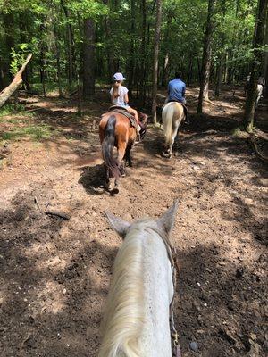 On a 45-minute trail ride through the forest