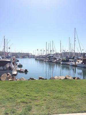 View of docks O and P from the office