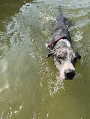 Private river access for pets!