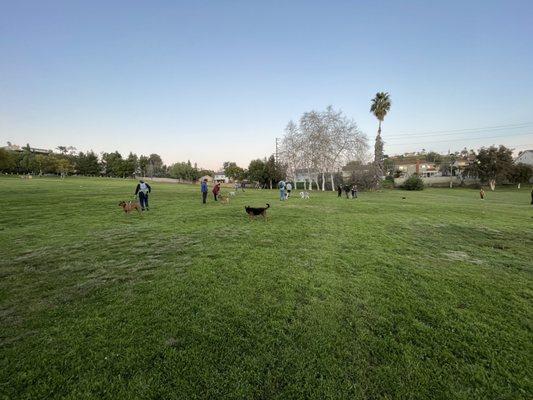 Wide open park