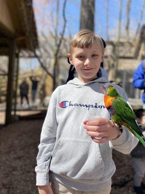 Buddy holding a bird