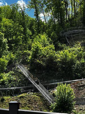 Alpine coaster !