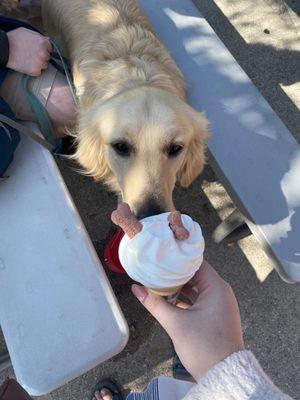 Fife Lake Dairy Bar