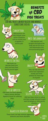 CBD is good for pets too.