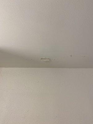 Some maintenance definitely needed. This is the bathroom ceiling.