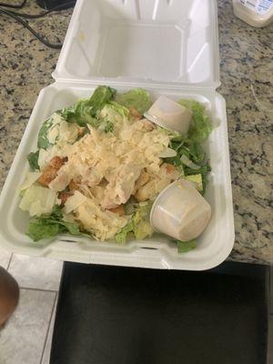 Chicken Cesar salad