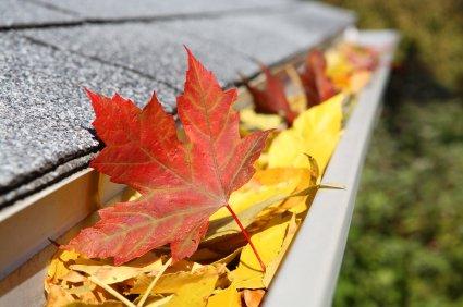 Rain Gutter Cleaning