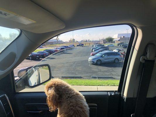 View of the parking lot near the entry gate