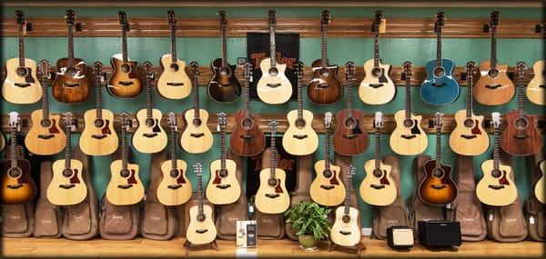 The East Bay's Premier Taylor Guitars Dealer