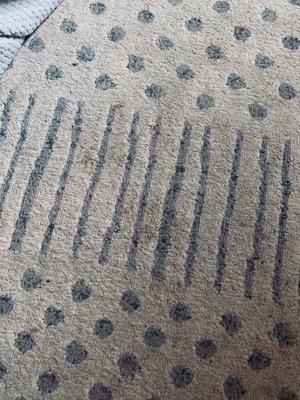 Sewage on our living room rug