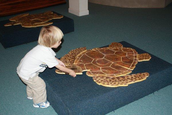 Turtle puzzle in Barrier Islands Gallery