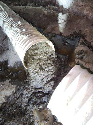 Dryer Vent glossed and water logged.  Needed repairs.