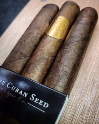 Cuban seeds