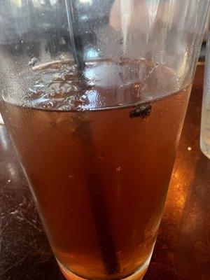 Fly in my tea