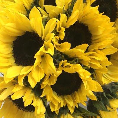 Sunflower bouquet