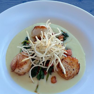 Beautiful scallops special